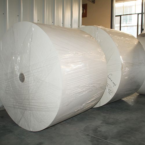 批发环保纸容器防水包装用纸150g300g食品淋膜纸